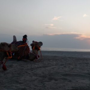 Riding CAMEL