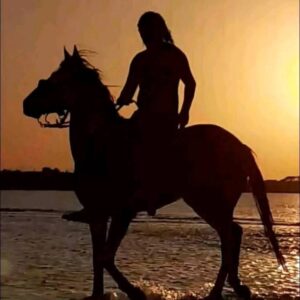 Riding Horse